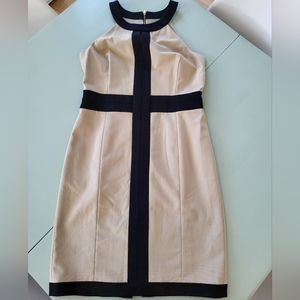 Ann Taylor Beige/Black - Size 6